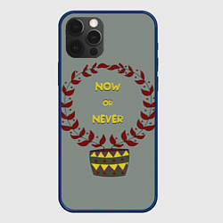 Чехол iPhone 12 Pro Цветочный горшок now or never