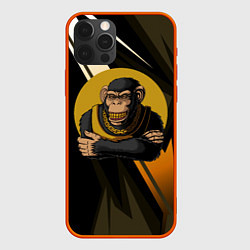 Чехол iPhone 12 Pro Обезьяна с золотой цепью