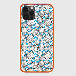 Чехол iPhone 12 Pro Мячи Волейбольные