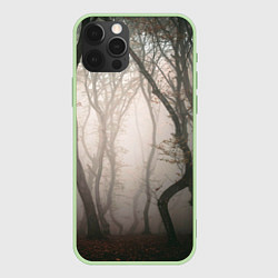 Чехол для iPhone 12 Pro Лес Туман, цвет: 3D-салатовый