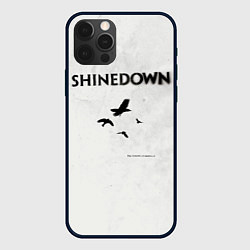 Чехол для iPhone 12 Pro The Sound of Madness - Shinedown, цвет: 3D-черный