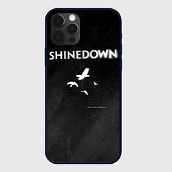 Чехол iPhone 12 Pro The Sound of Madness Shinedown