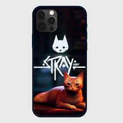 Чехол iPhone 12 Pro Stray бродячий кот