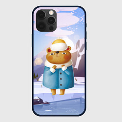 Чехол iPhone 12 Pro Медведица в шубке