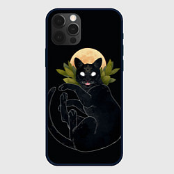 Чехол iPhone 12 Pro Кот в ночи