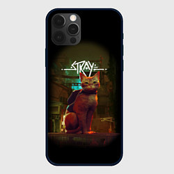 Чехол iPhone 12 Pro Stray-Cat