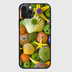 Чехол для iPhone 12 Pro Композиция из морских звёзд и ракушек, цвет: 3D-черный