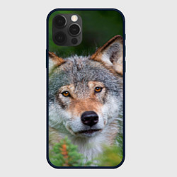 Чехол для iPhone 12 Pro Волк на фоне зелени, цвет: 3D-черный