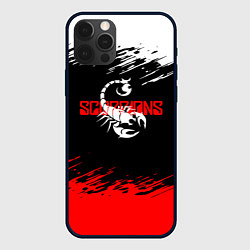 Чехол iPhone 12 Pro Scorpions - краска
