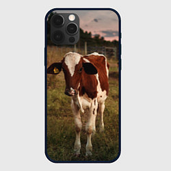 Чехол iPhone 12 Pro Корова гуляет вечером