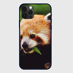 Чехол iPhone 12 Pro Красная милая панда