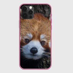 Чехол iPhone 12 Pro Крaсная панда