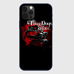 Чехол iPhone 12 Pro Three Days Grace змея и ворон