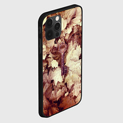 Чехол для iPhone 12 Pro Ключ правды осенних листьях, цвет: 3D-черный — фото 2