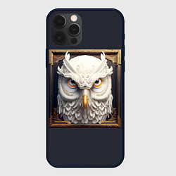 Чехол iPhone 12 Pro Белая сова - барельеф в раме