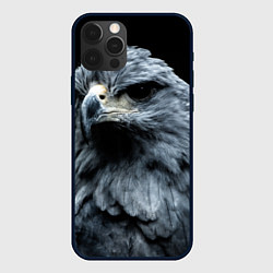 Чехол для iPhone 12 Pro Oрёл, цвет: 3D-черный