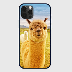 Чехол iPhone 12 Pro Ламы - я и друг, найди меня