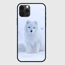 Чехол для iPhone 12 Pro Белоснежный Песец, цвет: 3D-черный