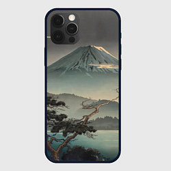 Чехол для iPhone 12 Pro Великий вулкан Фудзияма, цвет: 3D-черный