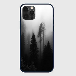 Чехол для iPhone 12 Pro Красивый лес и туман, цвет: 3D-черный