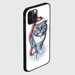 Чехол для iPhone 12 Pro Кот гномыч, цвет: 3D-черный — фото 2