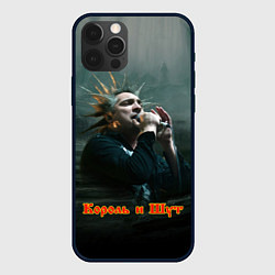 Чехол iPhone 12 Pro Горшок с микрофоном КиШ