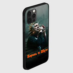 Чехол для iPhone 12 Pro Горшок с микрофоном КиШ, цвет: 3D-черный — фото 2
