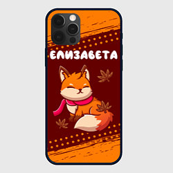Чехол iPhone 12 Pro Елизавета осенняя лисичка