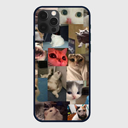 Чехол iPhone 12 Pro Мемные котики