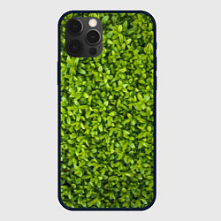 Чехол iPhone 12 Pro Зеленая травка