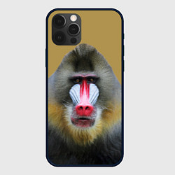 Чехол iPhone 12 Pro Мандрил обезьяна
