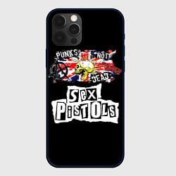 Чехол iPhone 12 Pro Sex Pistols - punks not dead
