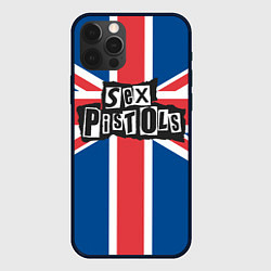 Чехол iPhone 12 Pro Sex Pistols - панк рок