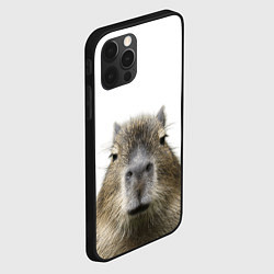 Чехол для iPhone 12 Pro Капибара пофигист, цвет: 3D-черный — фото 2