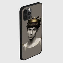 Чехол для iPhone 12 Pro Король Тимоти, цвет: 3D-черный — фото 2
