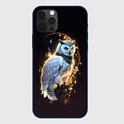 Чехол для iPhone 12 Pro Снежная сова, цвет: 3D-черный