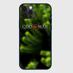 Чехол iPhone 12 Pro God of war scandinavia