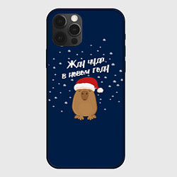 Чехол iPhone 12 Pro Новогодняя капибара 2024