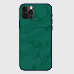 Чехол для iPhone 12 Pro Серо-зеленые разводы, цвет: 3D-черный