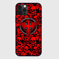 Чехол для iPhone 12 Pro Thirty Seconds to Mars skull pattern, цвет: 3D-черный