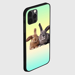 Чехол для iPhone 12 Pro Два пушистых кролика, цвет: 3D-черный — фото 2