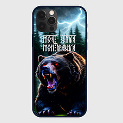 Чехол для iPhone 12 Pro Медведь хозяин тайги - моя земля мои правила, цвет: 3D-черный