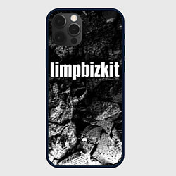 Чехол для iPhone 12 Pro Limp Bizkit black graphite, цвет: 3D-черный