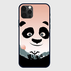 Чехол iPhone 12 Pro Силуэт кунг фу панда