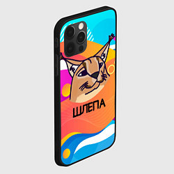 Чехол для iPhone 12 Pro Нарисованный кот Шлепа pop art, цвет: 3D-черный — фото 2