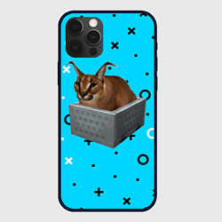 Чехол для iPhone 12 Pro Шлепа в коробке, цвет: 3D-черный