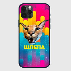 Чехол для iPhone 12 Pro Голова Шлепы, цвет: 3D-черный