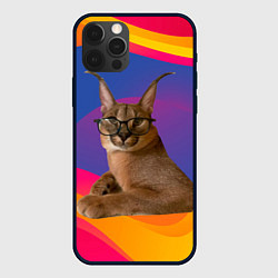 Чехол для iPhone 12 Pro Мем кот Шлепа, цвет: 3D-черный