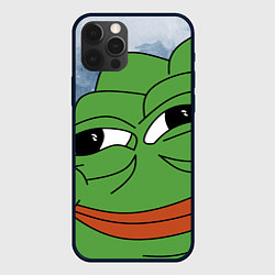 Чехол для iPhone 12 Pro Хитрый лягушонок пепе, цвет: 3D-черный