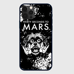 Чехол для iPhone 12 Pro Thirty Seconds to Mars рок пес, цвет: 3D-черный